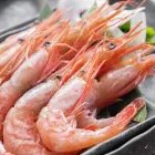 食べ飲み個室空間 SUMILE ～菫～ 梅田店